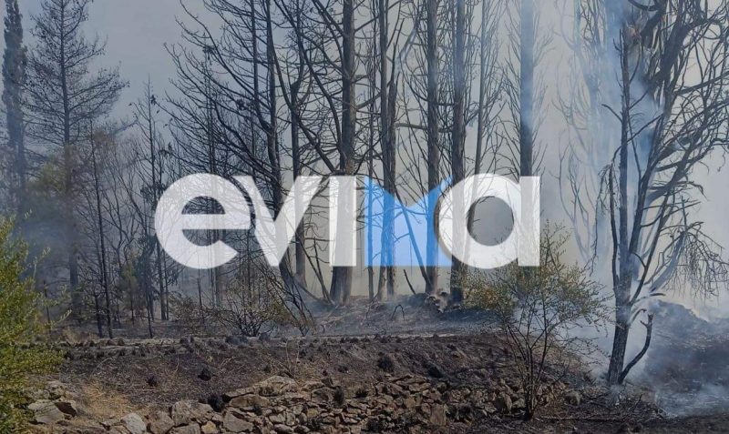 Εύβοια: Έρμαιο της φωτιάς ξανά – Πέντε πυρκαγιές σε δύο ημέρες