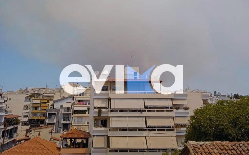 Εύβοια: Αποπνικτική ατμόσφαιρα σε Χαλκίδα και Βασιλικό από τη φωτιά στα Ψαχνά