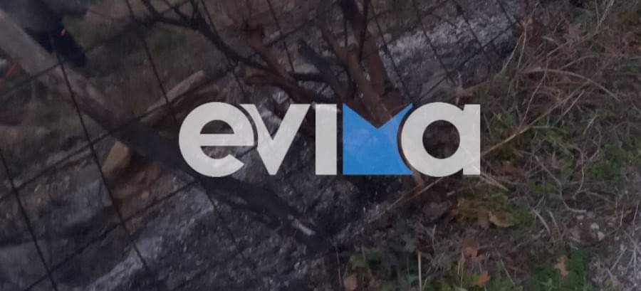 Εύβοια: Υπό έλεγχο η φωτιά στο Στόμιο Πετριών – Προκλήθηκε από γεννήτρια