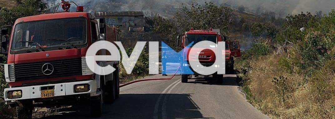 Φωτιά στην Εύβοια: Καίει ξερά χόρτα στα Ψαχνά