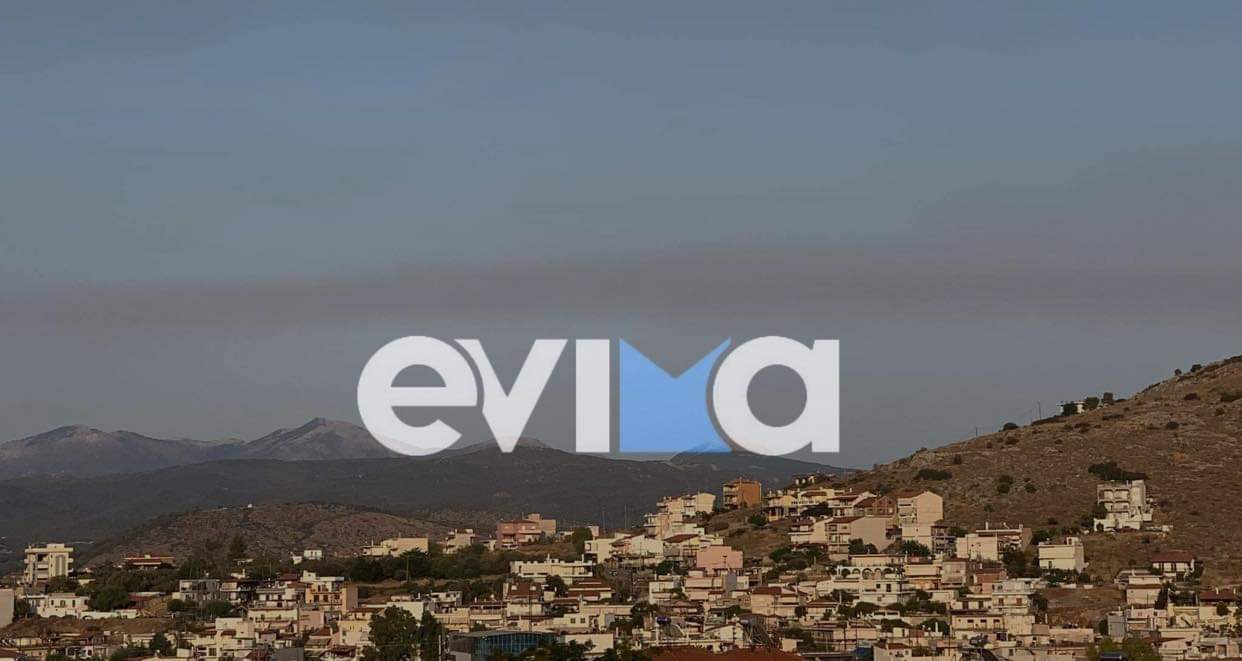 Εύβοια: Γέμισε καπνούς η Χαλκίδα – Τι συνέβη