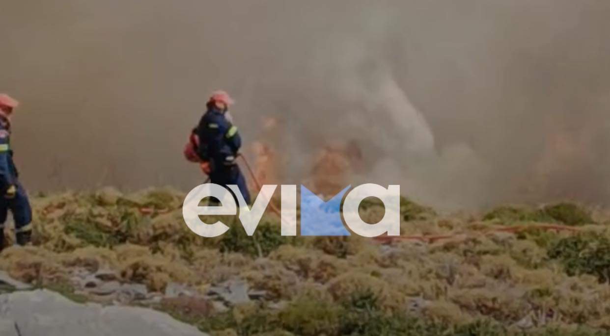 Μεγάλη φωτιά στην Κάρυστο: Μάχη με τις φλόγες – Νέο συγκλονιστικό βίντεο
