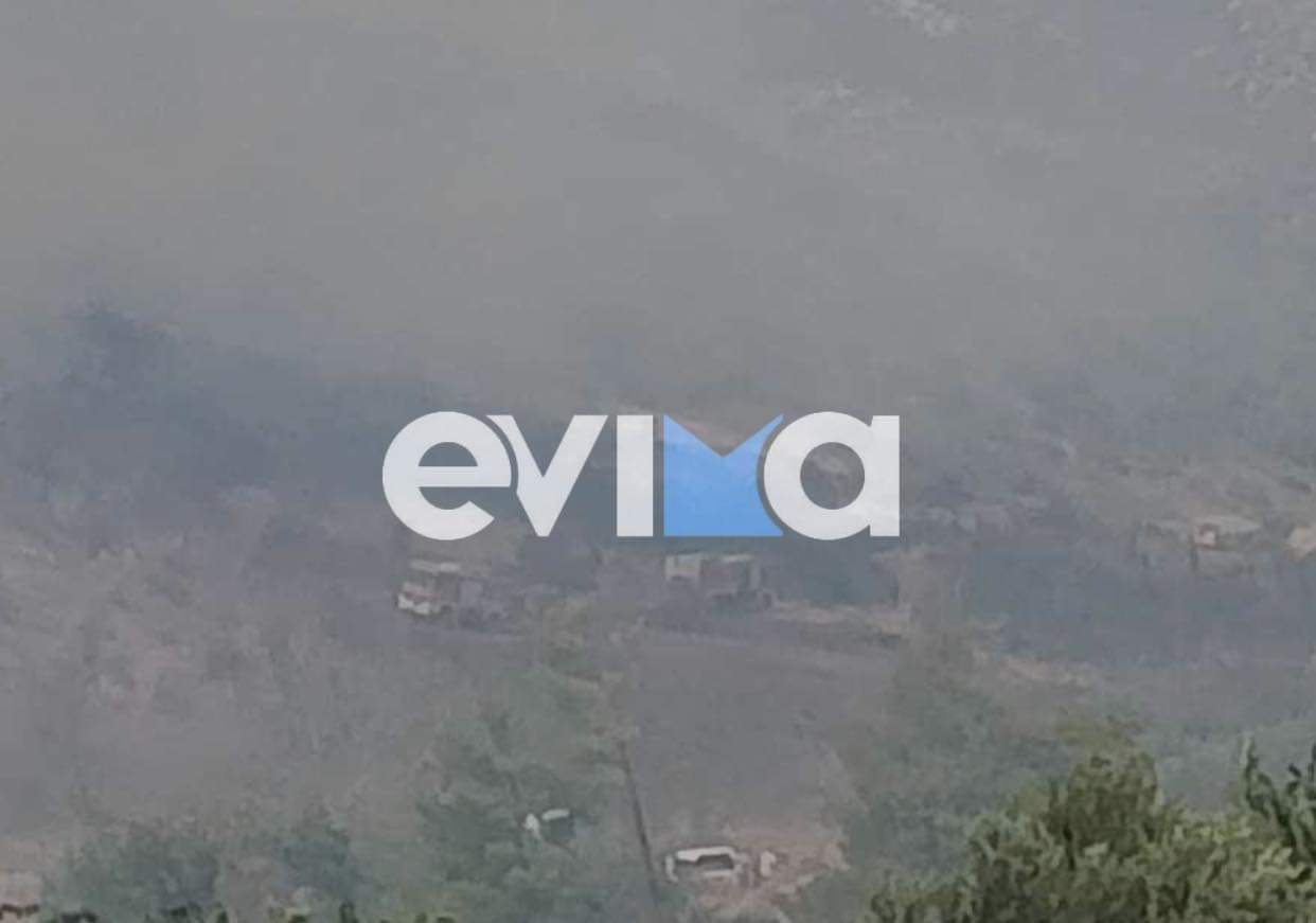 Φωτιά στην Εύβοια: Εκκενώνεται το Κοντοδεσπότι – Μήνυμα του 112 στους κατοίκους – Εικόνες και βίντεο