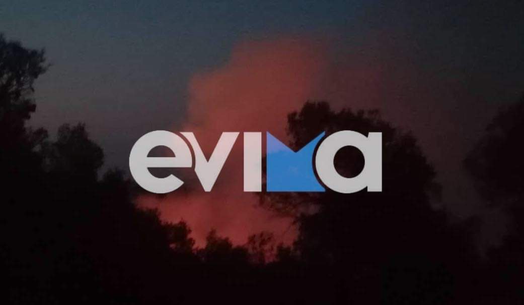 Μεγάλη φωτιά ξανά στην Εύβοια: «Δίνουμε μάχη να περιορίσουμε την πυρκαγιά»