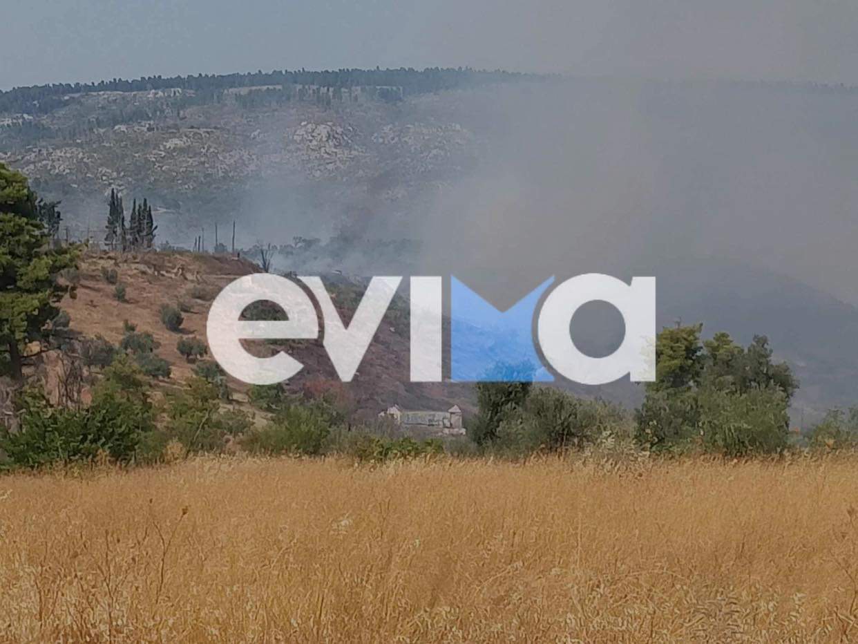 Νέα μεγάλη φωτιά σε δάσος στην Εύβοια – Εκκενώνεται το Κοντοδεσπότι