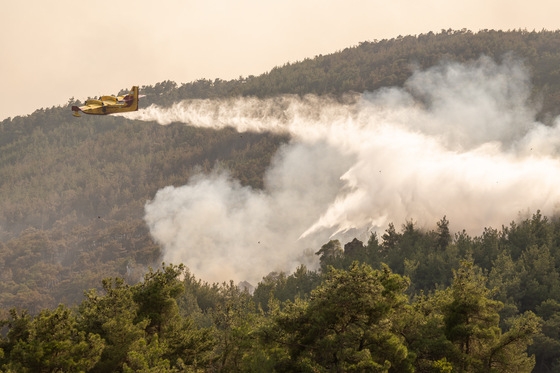 Φωτιά στον Έβρο: 12η μέρα μάχης με τις φλόγες – Μεγάλη οικολογική καταστροφή