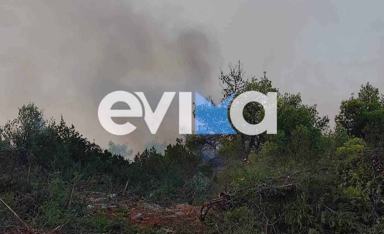 Φωτιά στην Εύβοια: Μεγάλες αναζωπυρώσεις στο Βατώντα – Ισχυροί άνεμοι στην περιοχή