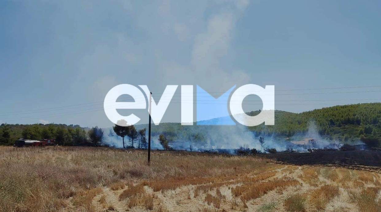 Φωτιά στην Εύβοια: Οι πρώτες εικόνες από το πύρινο μέτωπο