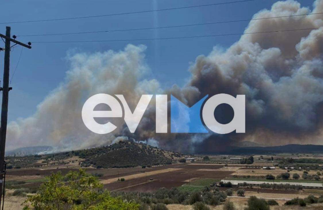 Φωτιά στην Εύβοια: Καίει ανεξέλεγκτα η πυρκαγιά στα Ψαχνά – Εικόνες που κόβουν την ανάσα