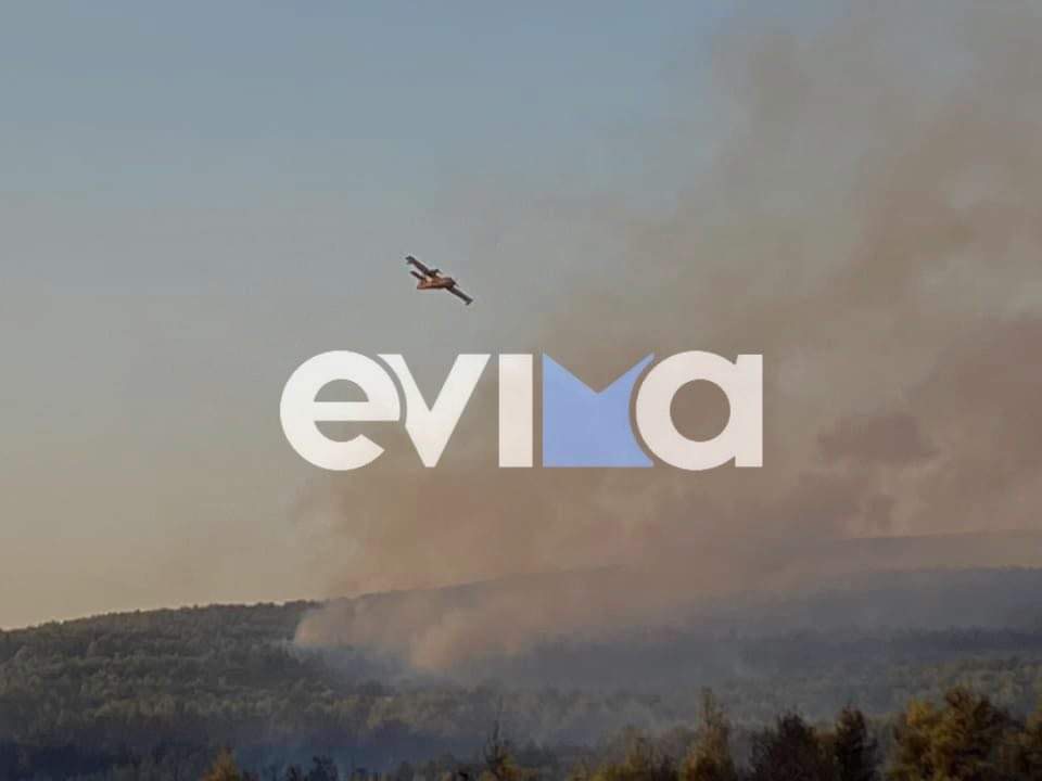 Κόλαση φωτιάς στην Εύβοια: Μάχη για να τη σβήσουν δίνουν πυροσβέστες και εναέρια μέσα