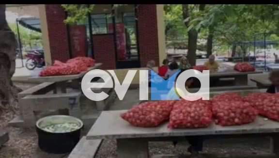Γιατί καθαρίζουν κρεμμύδια αύριο σε χωριό της Εύβοιας