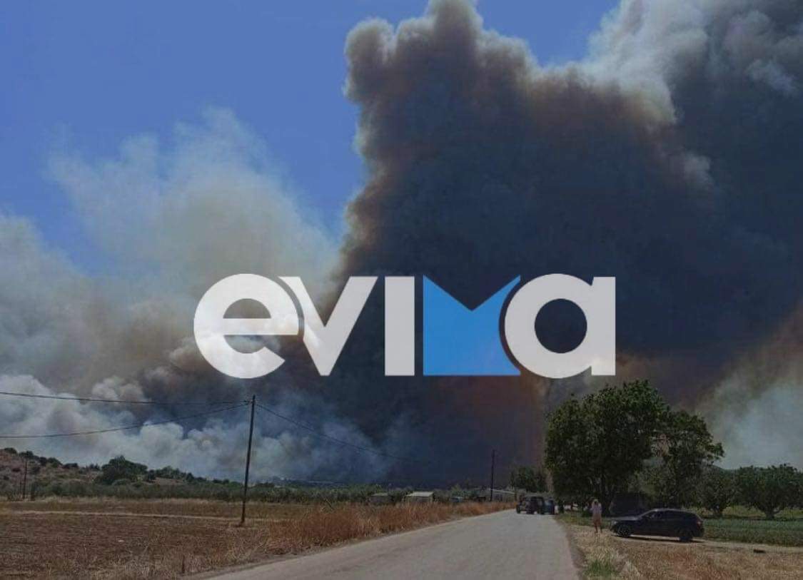 Φωτιά στην Εύβοια: Πύρινη κόλαση στα Ψαχνά – Συγκλονιστικές εικόνες