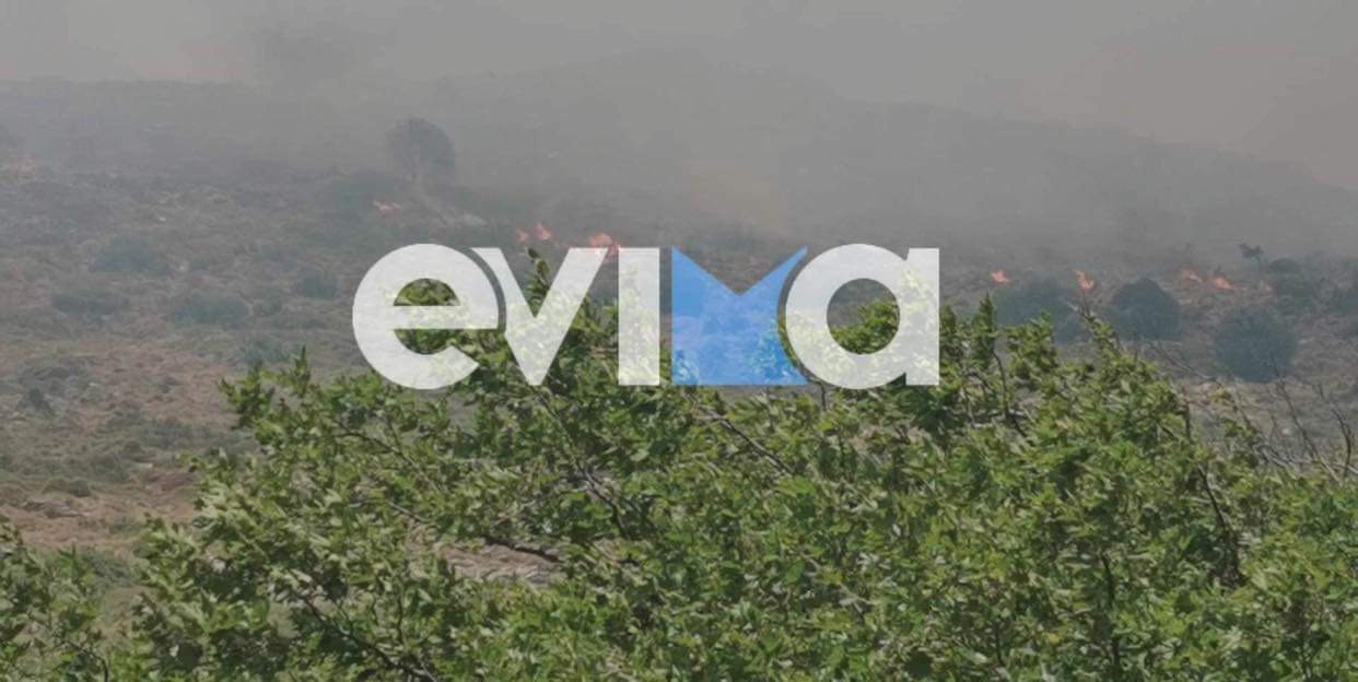 Φωτιά στην Εύβοια: Καίγονται κολώνες της ΔΕΗ – Κόπηκε το ρεύμα στην περιοχή