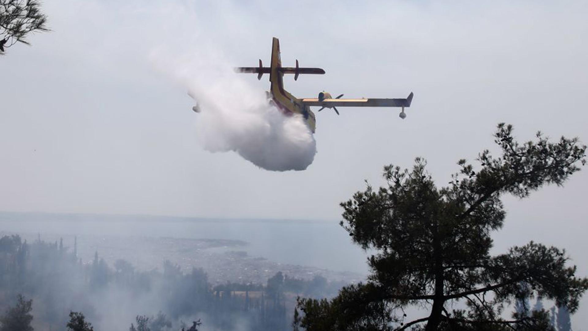 Φωτιά στον Κουβαρά Αττικής