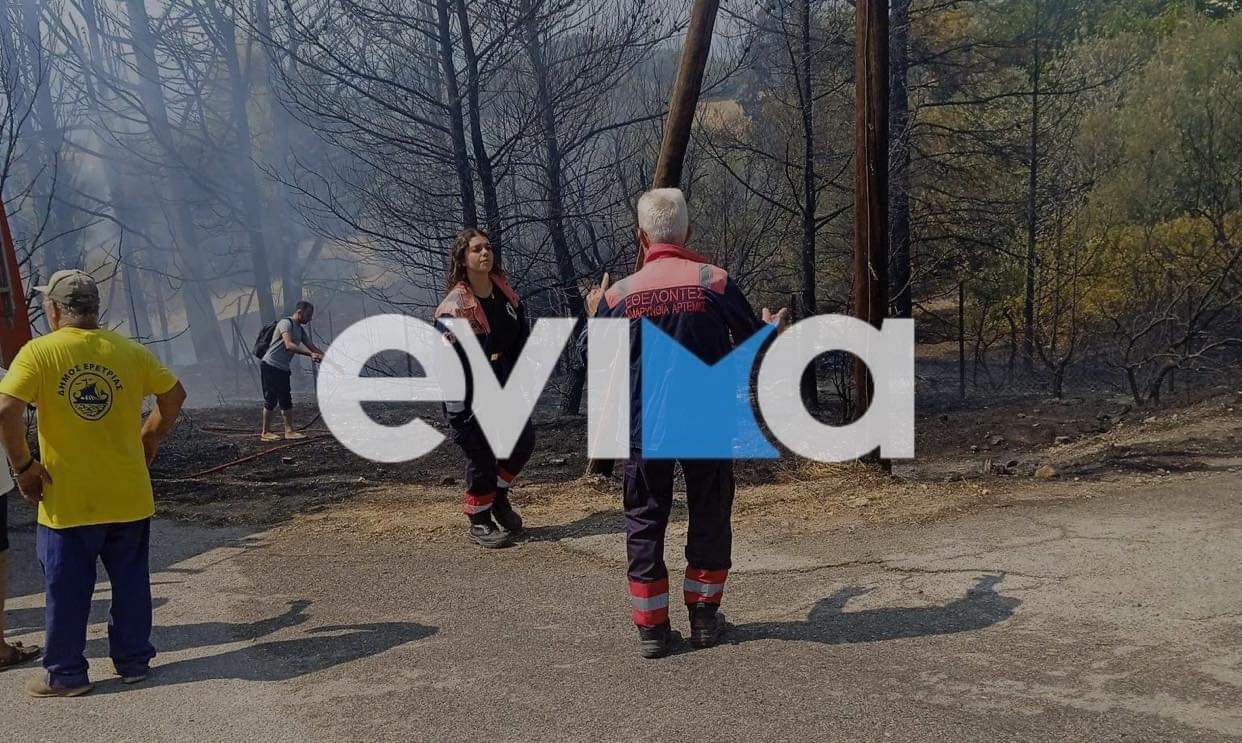 Πυροσβέστες και εθελοντές πρόλαβαν τη φωτιά στην Ερέτρια (pics)
