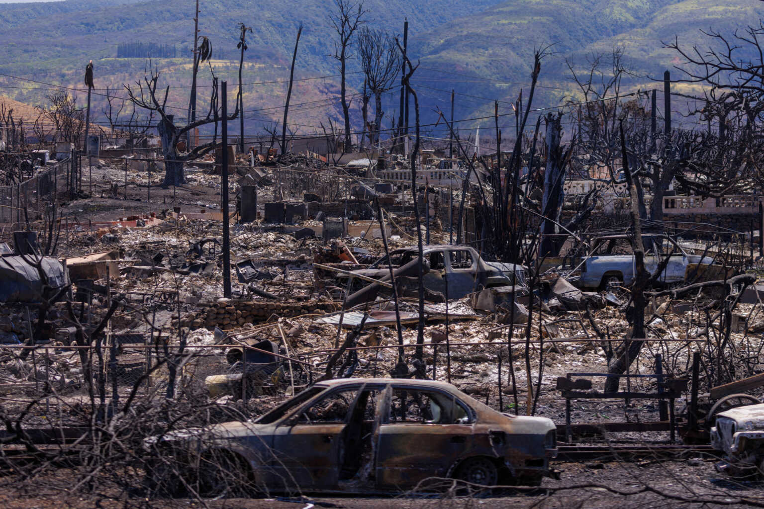 Χαβάη: Οι νεκροί της φονικής πυρκαγιάς ξεπέρασαν τους 100 – «Έως και 1.300 οι αγνοούμενοι»