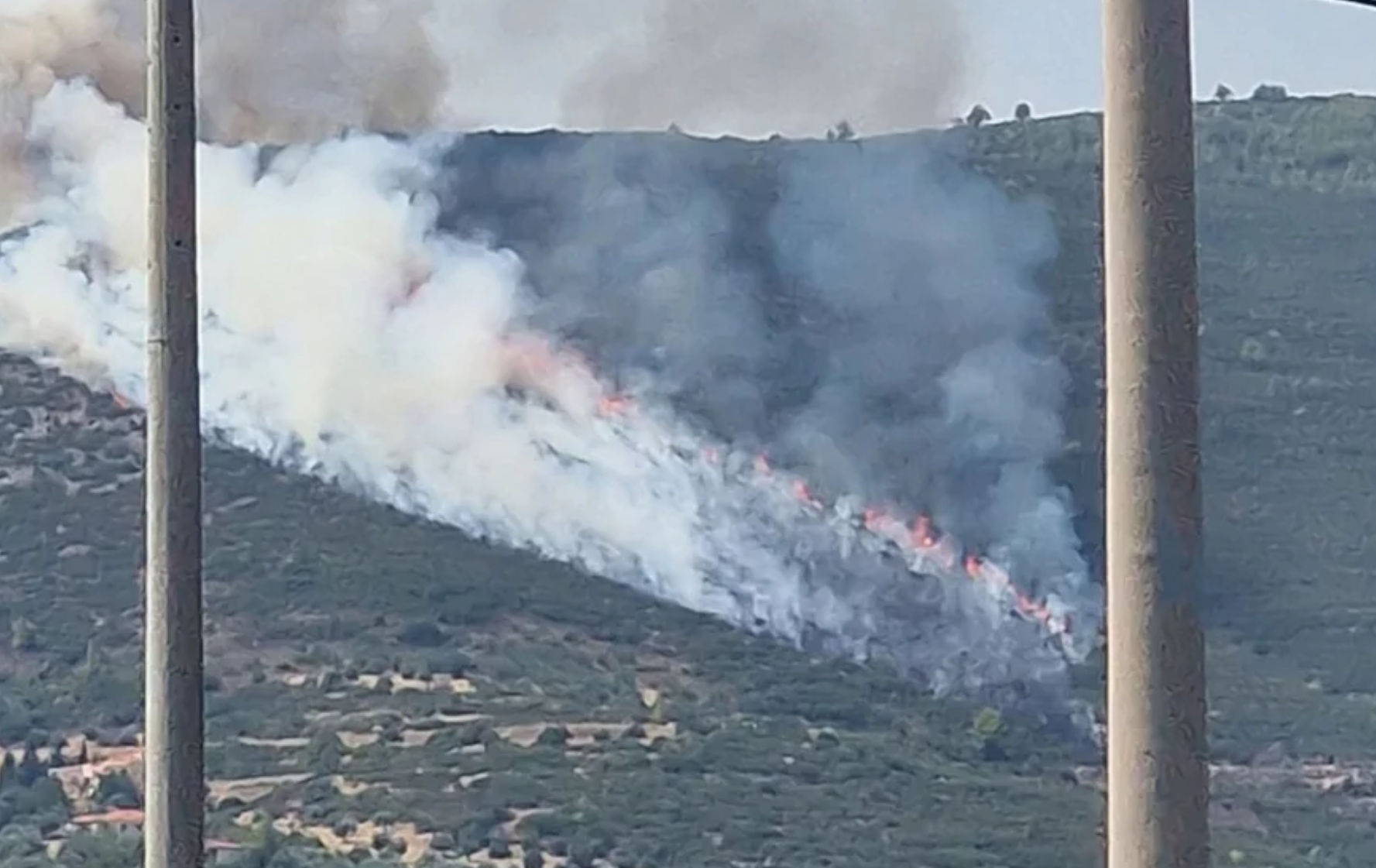 Σύλληψη υπόπτου για εμπρησμό στον Αυλώνα: Είχε πάνω του κιάλια, σπινθηριστή, βαμβάκι και αναπτήρες