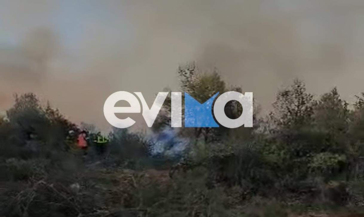 Καίει ανεξέλεγκτα η φωτιά στην Εύβοια: Σηκώθηκαν εναέρια μέσα, ολονύχτια μάχη με τις φλόγες