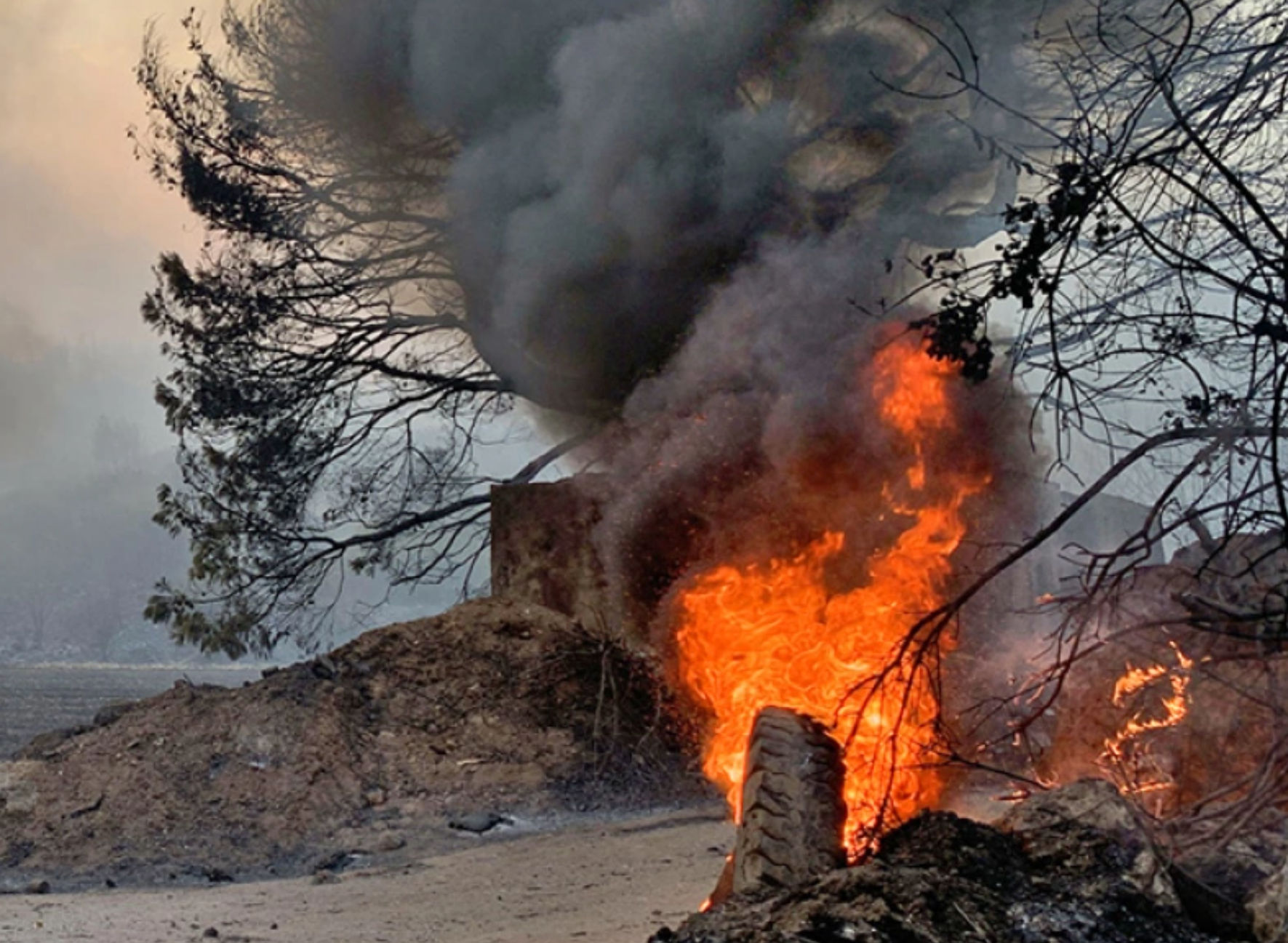 Εύβοια: Δύο χρόνια από την καταστροφική πυρκαγιά – Τι ζητούν οι κάτοικοι