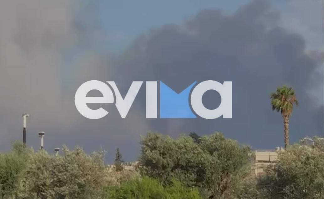 Φωτιά στην Εύβοια: Νέο μέτωπο στο Κοντοδεσπότι, δεν απειλούνται σπίτια – Καλύτερη εικόνα στα Ψαχνά