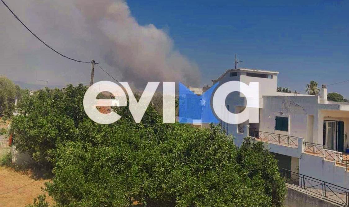 Φωτιά στην Εύβοια: Σώθηκε από θαύμα εκκλησάκι – Σοβαρές ζημιές σε επιχειρήσεις στα Ψαχνά