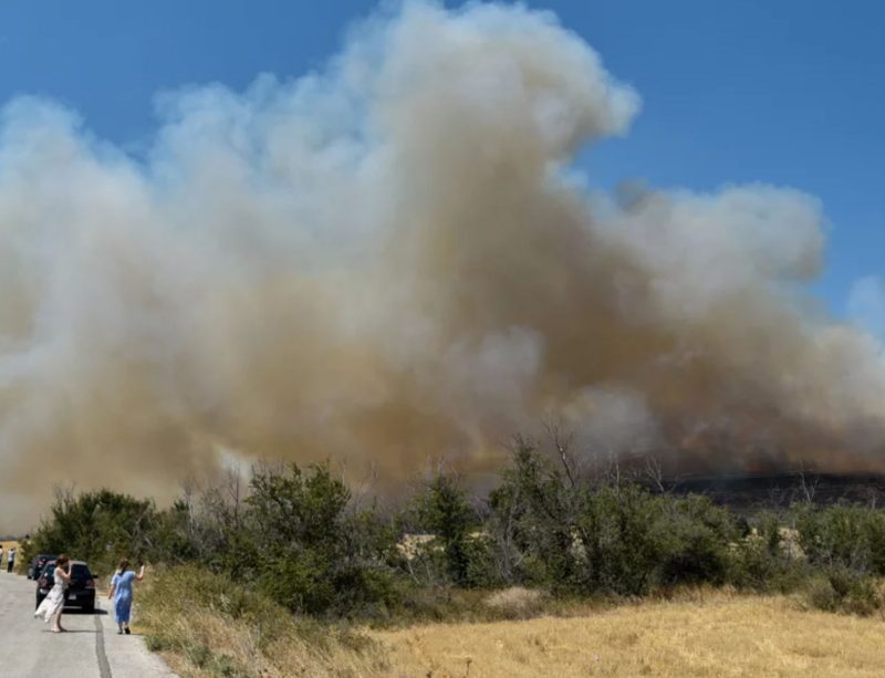 Αλεξανδρούπολη: Η πρώτη χαρτογράφηση των καμένων εκτάσεων – Πάνω από 75.000 στρέμματα έγιναν στάχτη