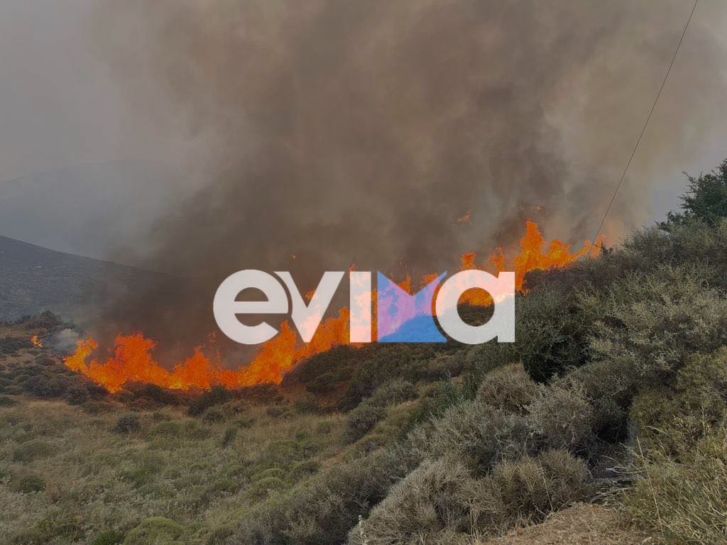 Εύβοια: Σε κατάσταση έκτακτης ανάγκης η Νέα Αρτάκη