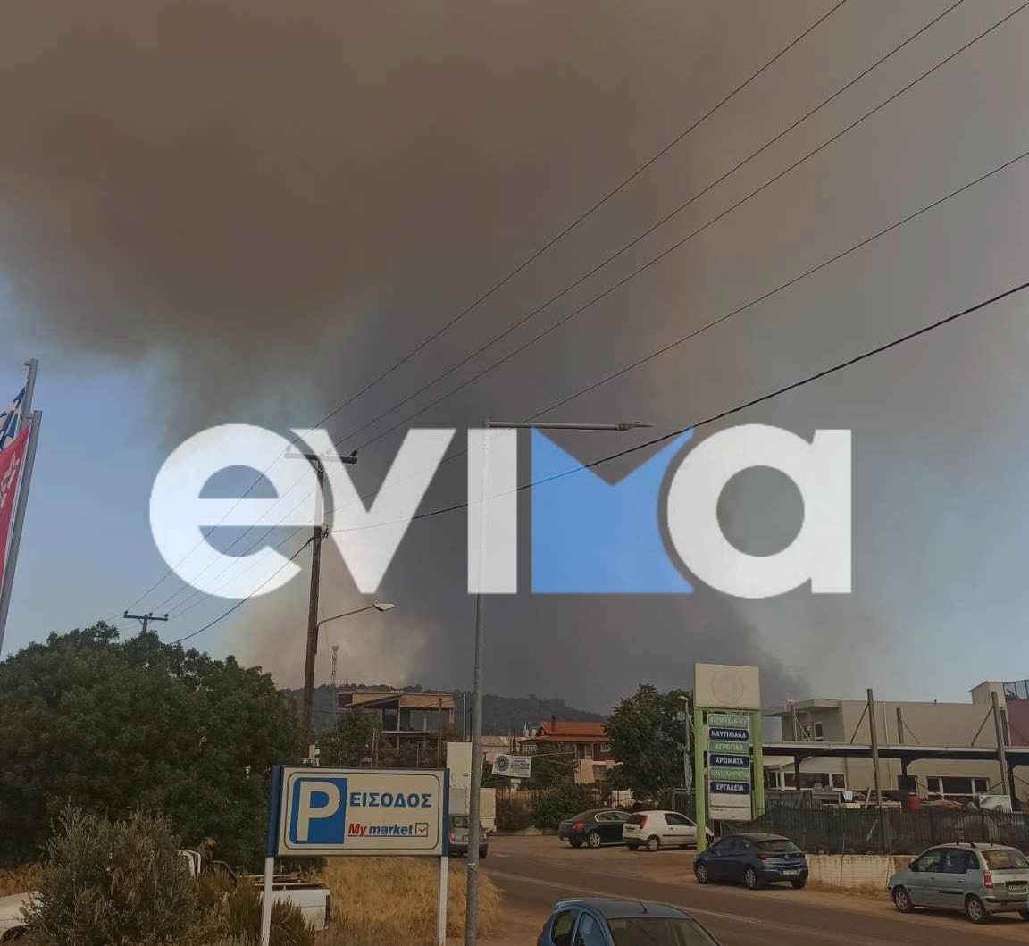 Μεγάλη φωτιά στην Εύβοια – Συγκλονιστική μαρτυρία από τα Ψαχνά: «Μπροστά βρέχει φωτιά»