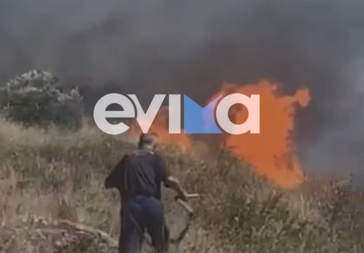 Φωτιά στην Εύβοια: Έπιασαν 48χρονο ύποπτο για εμπρησμό