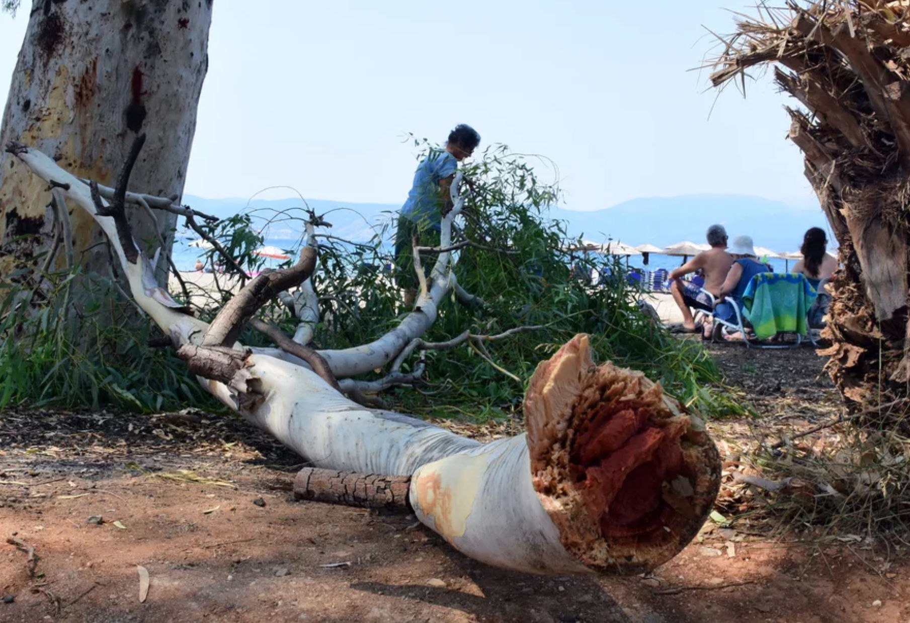 Τραυματίστηκε λουόμενος από πτώση κλαριού δέντρου (pics)