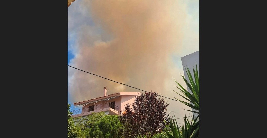 Φωτιά στα Ψαχνά Ευβοίας: Κοντά στο σπίτι τραγουδίστριας έφτασαν οι φλόγες