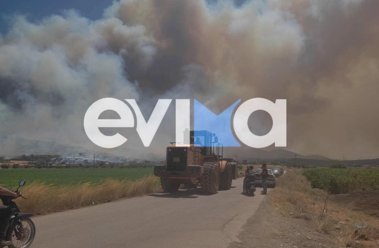 Φωτιά στην Εύβοια: Ξεφεύγει προς Βατώντα το μέτωπο από τα Ψαχνά