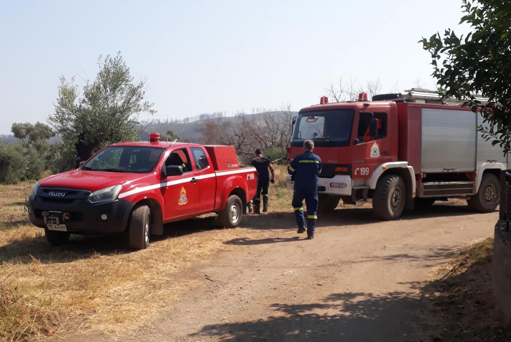 Τρόμος στην Εύβοια: Δημοσιογράφος βρήκε φίδι μέσα στο σπίτι του