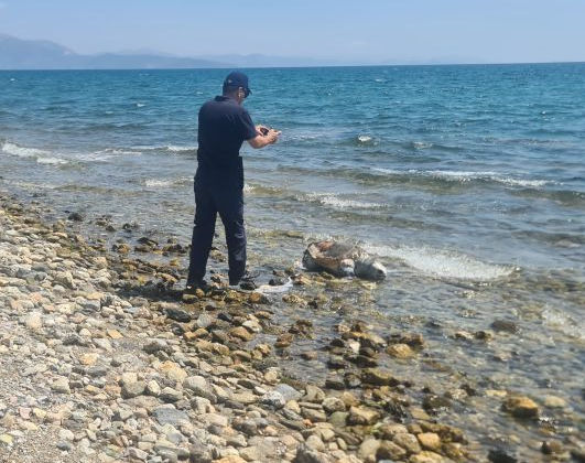 Εύβοια: Θλίψη για νεκρή χελώνα που «ξεβράστηκε» σε παραλία