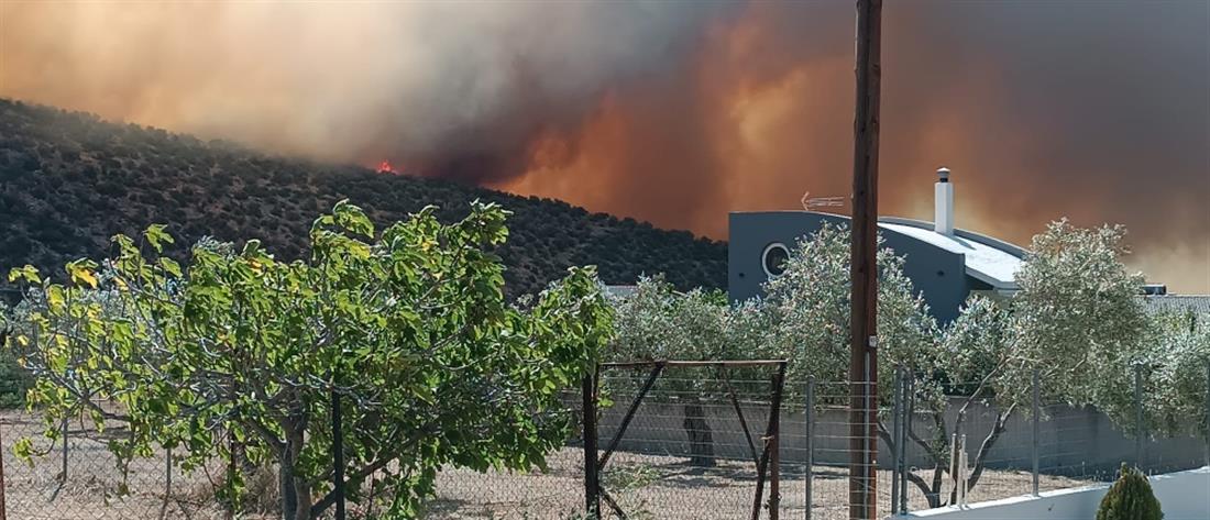 Δύσκολη η μάχη με τις φλόγες στη Βοιωτία – Ενεργά τα μέτωπα σε Στείρι και Ελικώνα