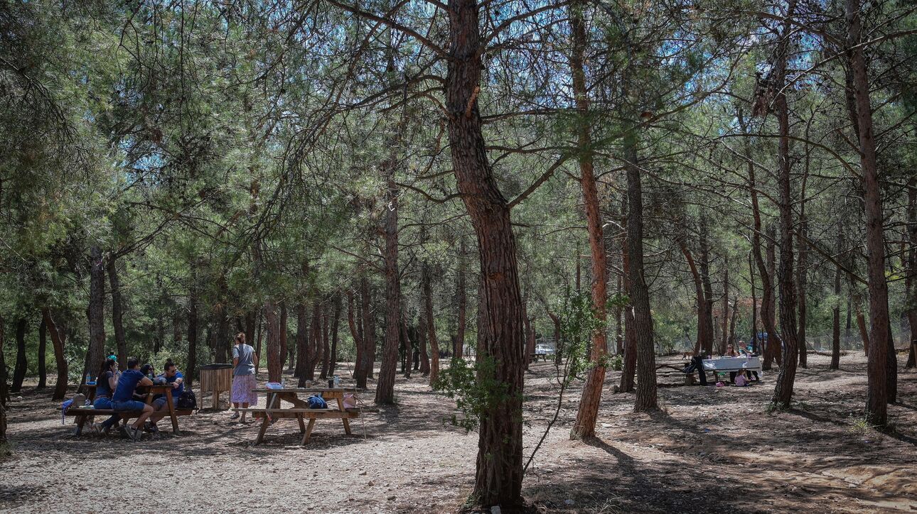 Εύβοια: Προσοχή σήμερα σε αυτή την περιοχή δεν πρέπει να πάτε – Δείτε τον λόγο