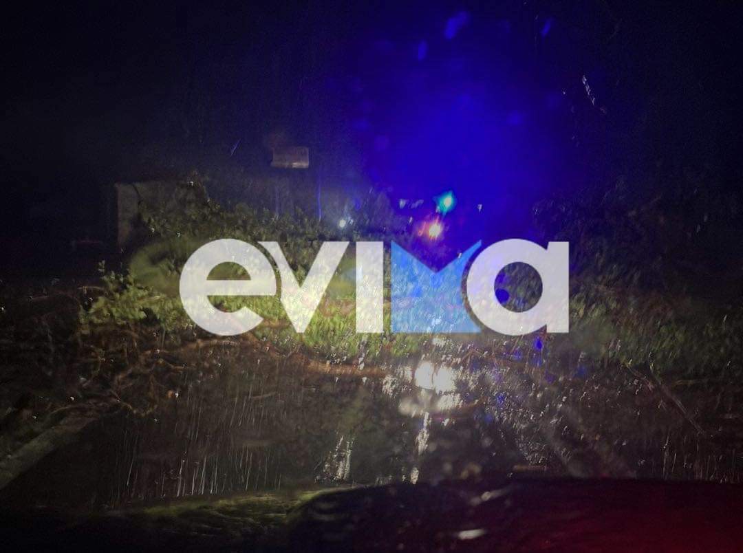 Κακοκαιρία Daniel: Ολική καταστροφή παντού στη Βόρεια Εύβοια – Έπεσαν δέντρα, έκλεισαν δρόμοι (pics)