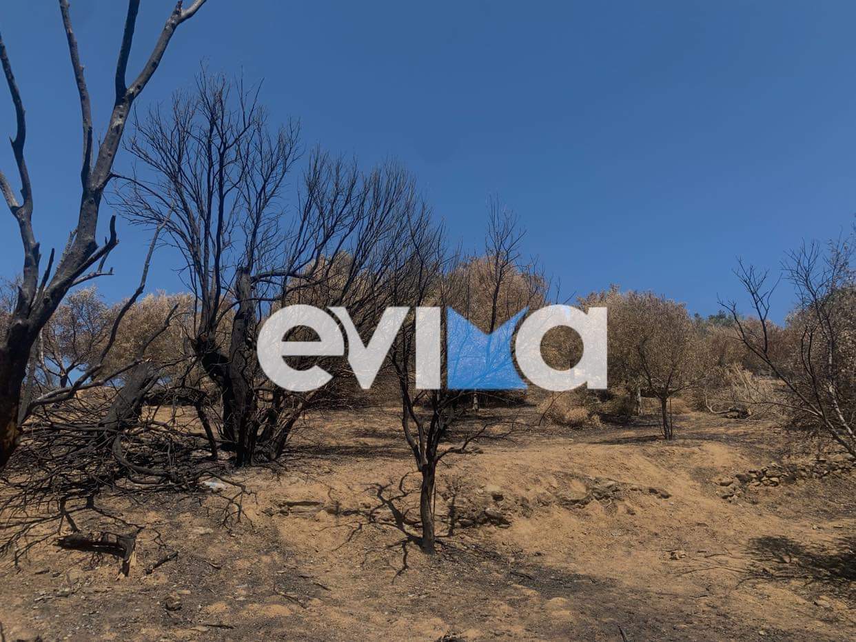 Φωτιές – Meteo: Αύξηση 365% στις καμένες εκτάσεις