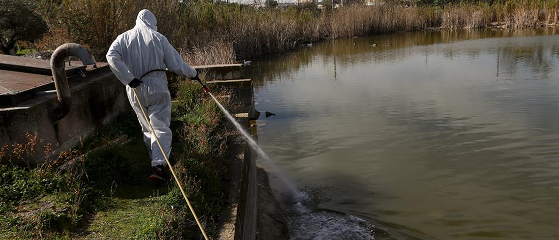 Ιός Δυτικού Νείλου: Φόβοι για έξαρση κρουσμάτων μετά τις πλημμύρες (χάρτες)