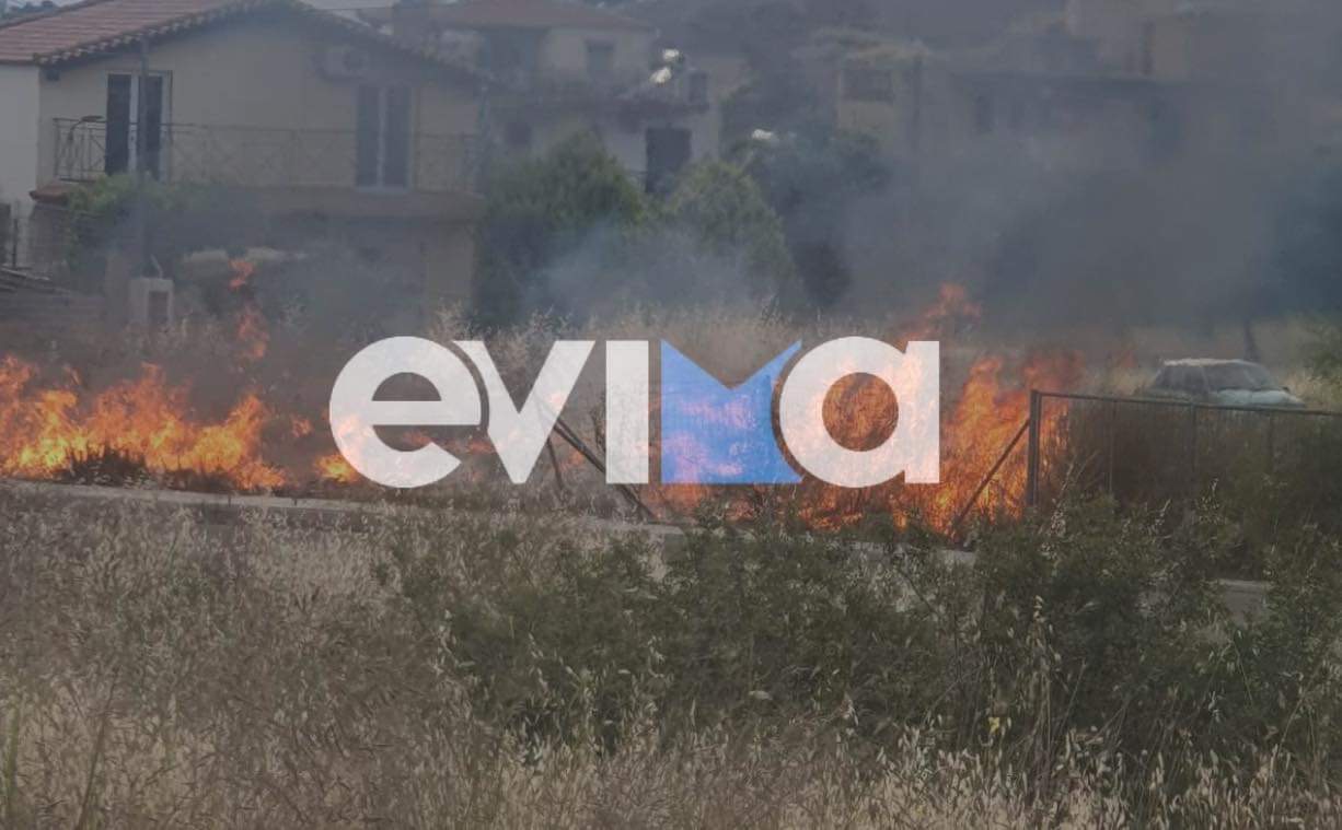 Φωτιά στην Εύβοια μέσα σε οικισμό