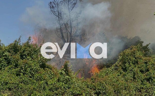 Εύβοια: Άνδρας έβαλε φωτιά και «έφαγε» πρόστιμο
