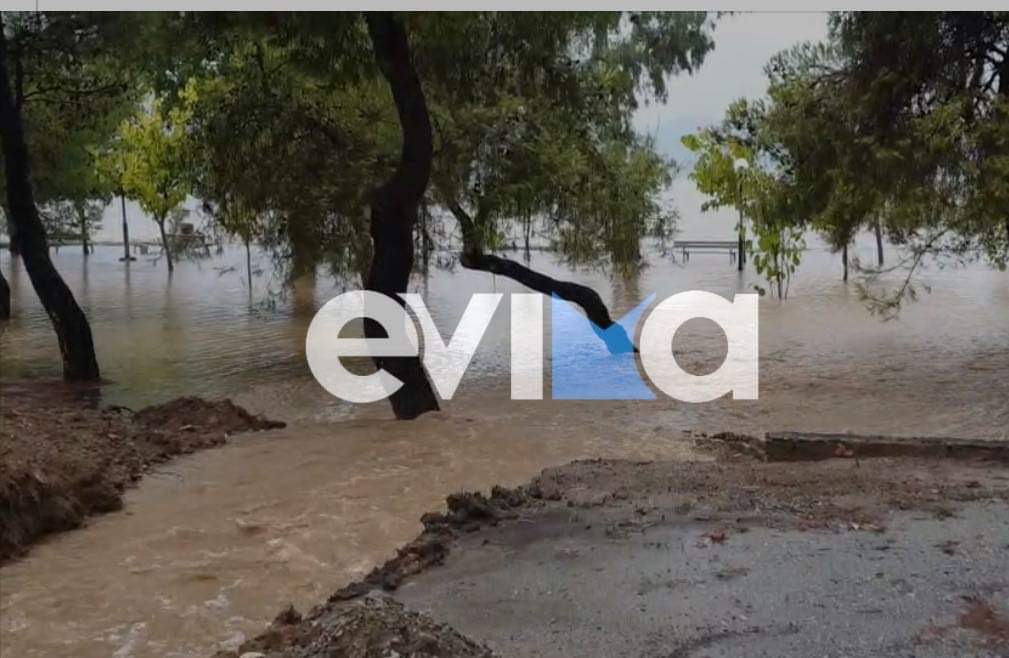 Τα λιμνάζοντα νερά αυξάνουν τα κουνούπια στην Εύβοια – Προσοχή! Δείτε τι πρέπει να κάνετε