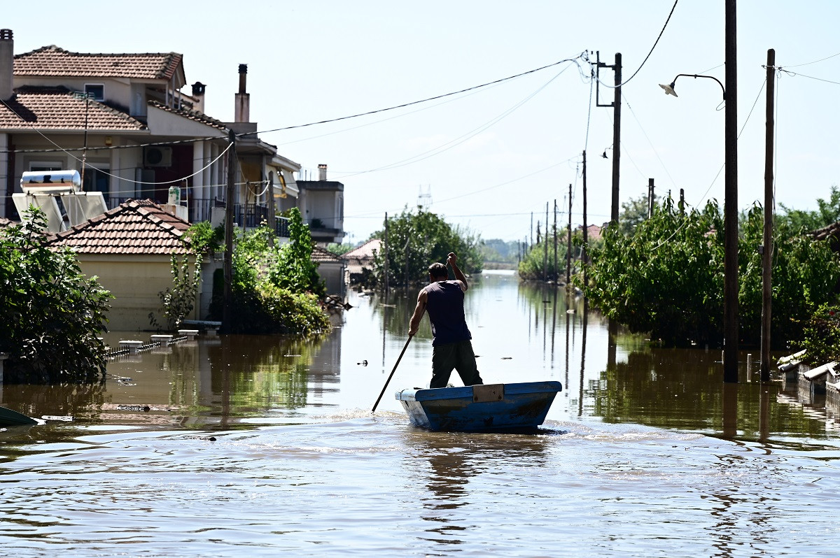 «Καμπανάκι» από καθηγητή: Η κατεστραμμένη παραγωγή δεν πρέπει να μπει στη διατροφική αλυσίδα μέσω των ζωοτροφών