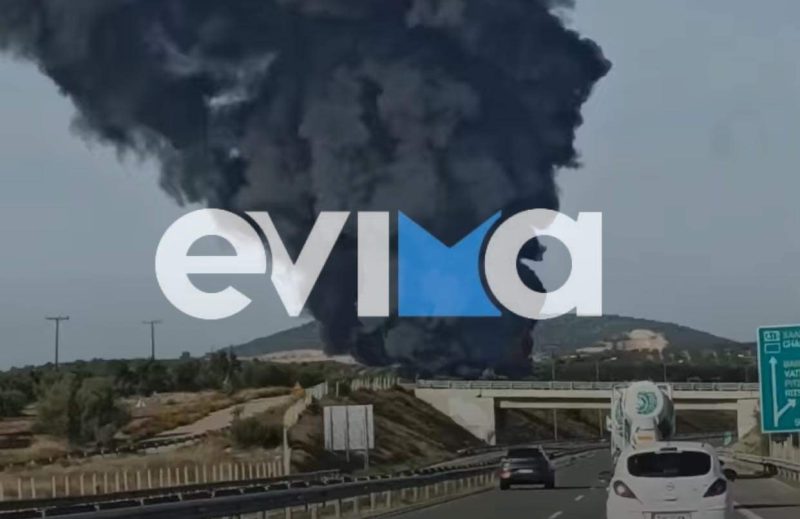 Φωτιά σε εργοστάσιο στην Εύβοια: Καταστράφηκαν τα 2/3 του κτιρίου