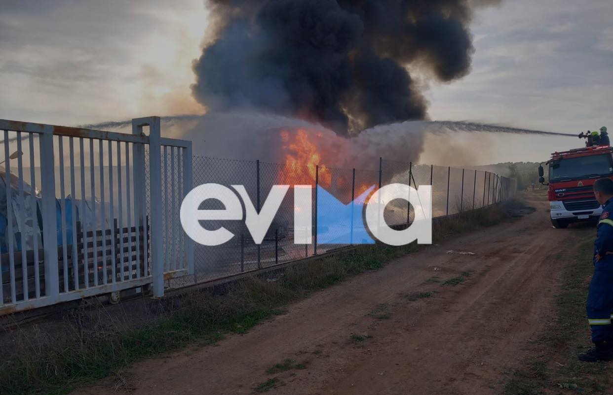 Υπό έλεγχο η φωτιά σε εργοστάσιο στην Εύβοια – Εικόνες από τους χώρους που κάηκαν