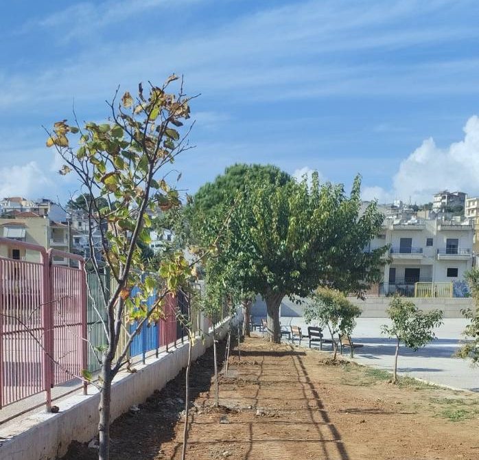 «Πνεύμονες πρασίνου» σε παιδικές χαρές στην Εύβοια: Πού έγινε δενδροφύτευση