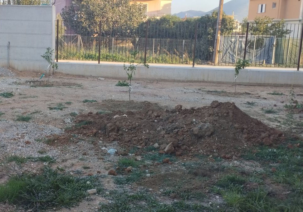 Εύβοια: Μαθητές δημοτικού φύτεψαν δέντρα