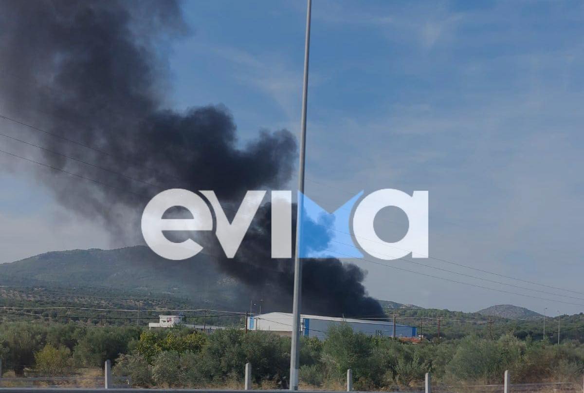 Φωτιά τώρα σε εργοστάσιο στην Εύβοια – Εκκενώνονται οι εγκαταστάσεις (pics)