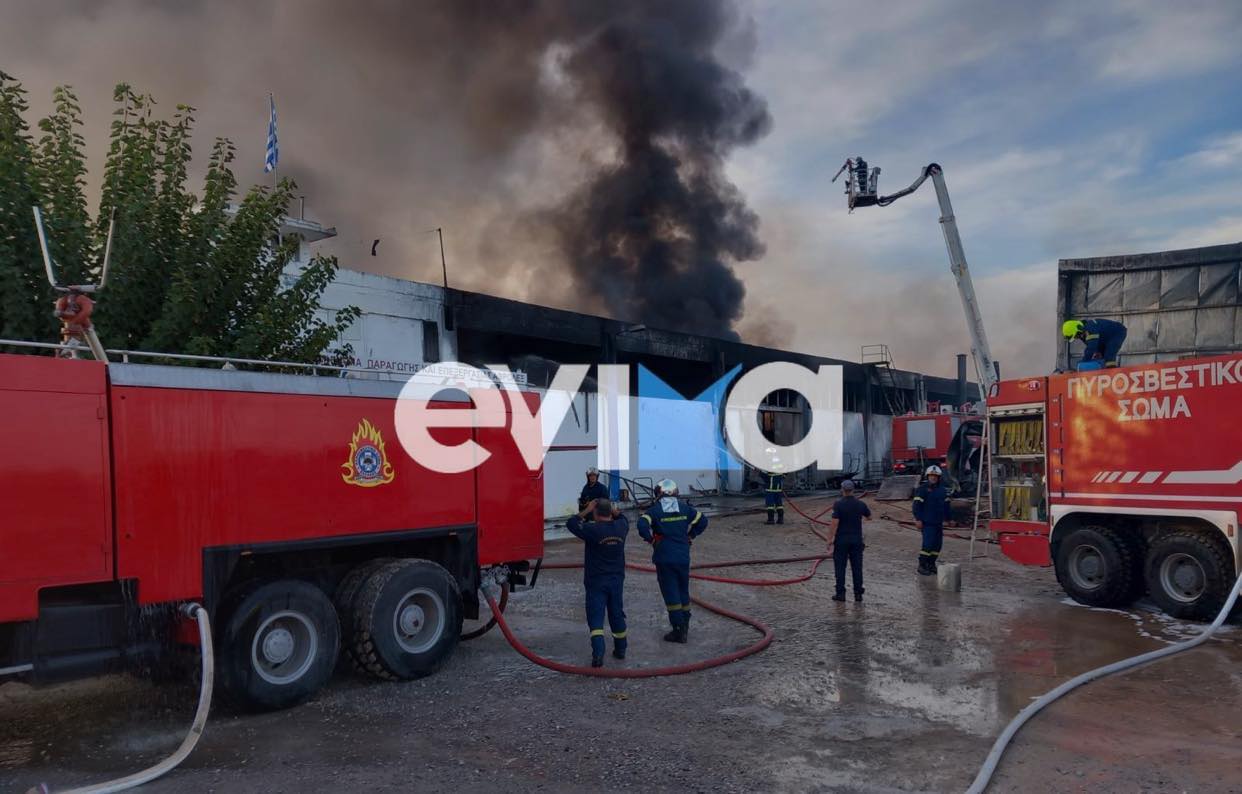 Φωτιά στην Εύβοια: Καταστράφηκε το εργοστάσιο – Πώς ξέσπασε η πυρκαγιά