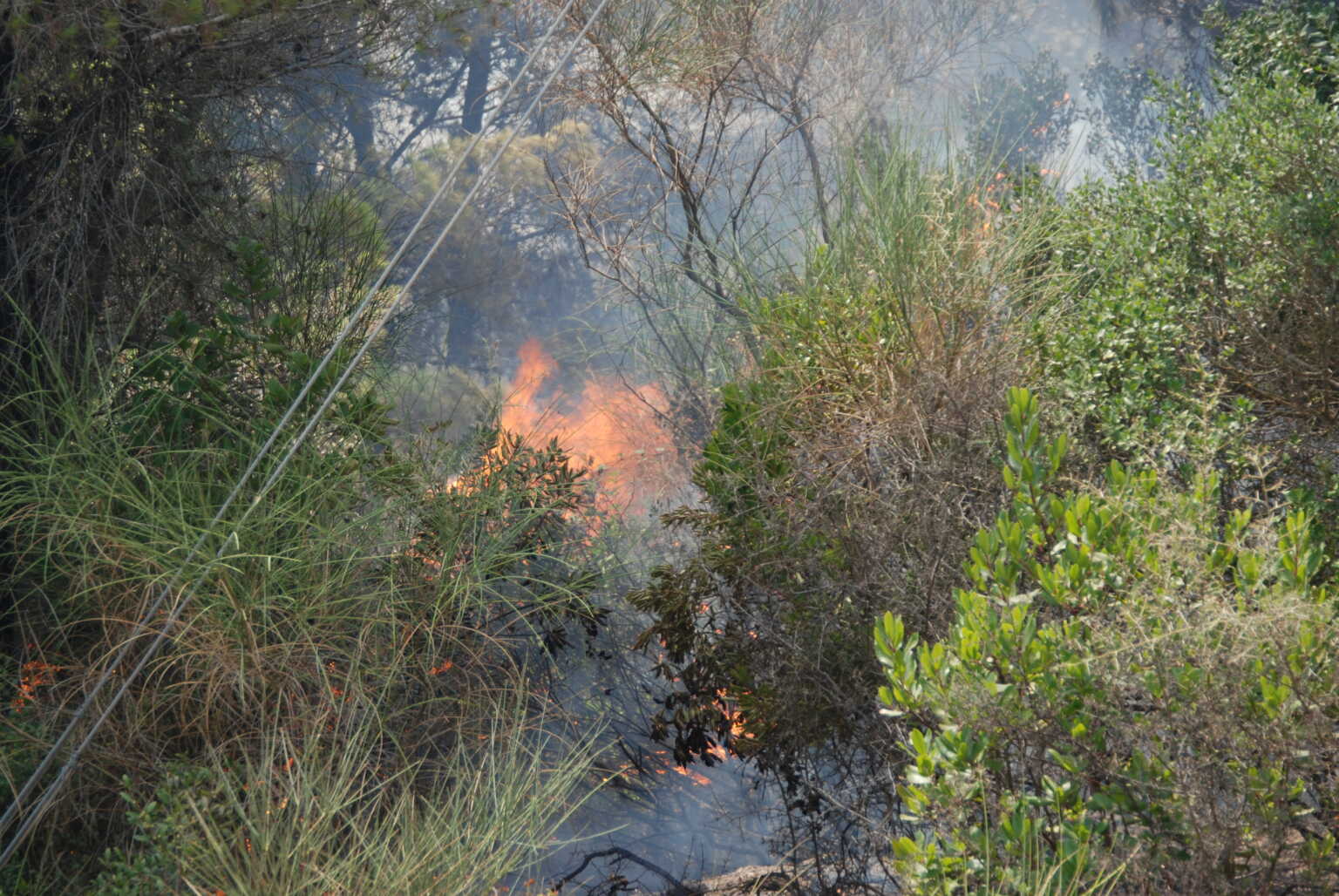 Φωτιά στην Κέρκυρα: Μήνυμα του 112 μετά την πυρκαγιά στην περιοχή των Αυλιωτών